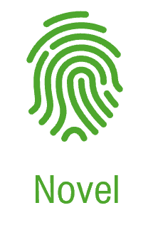 Novel
